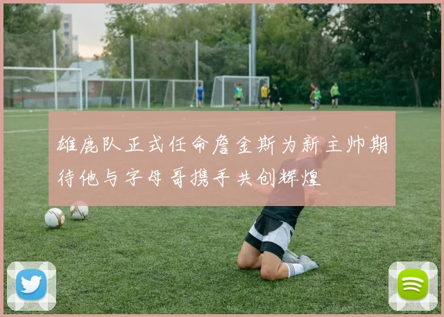 雄鹿队正式任命詹金斯为新主帅期待他与字母哥携手共创辉煌